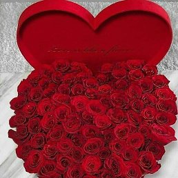 �����, ������ ��������, 22 ����