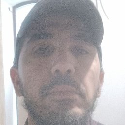 �����, ������, 37 ���