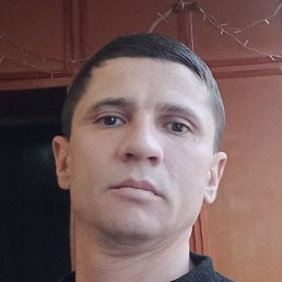 ������, �������, 39 ���