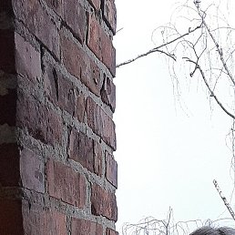 �������, ������, 45 ���