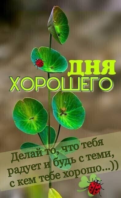 Быть счастливой не трудно, особенно в мае, И особенно, если ты так захотела, Просто слушайся сердца, ...