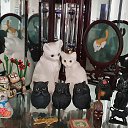 ���� Mark, ����-����, 56 ��� - ��������� 13 ���� 2023 � ������ �cat�