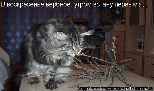   - 8  2023  16:23