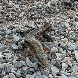 ���� �������, ���������, 32 ���� - ��������� 2 �������� 2023