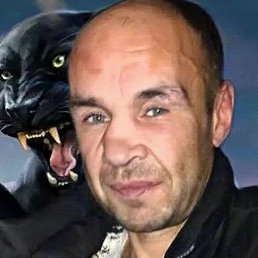 ���������, �����-���������, 45 ���