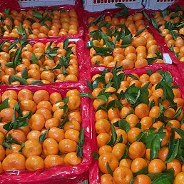 ����, ������, 29 ���