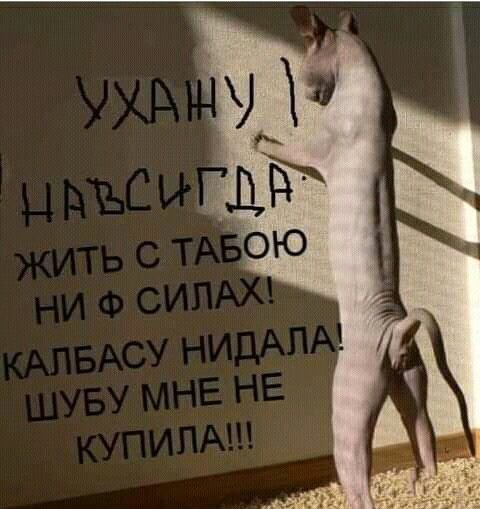   - 20  2023  22:47