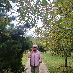 ���� �������, �����������, 69 ��� - ��������� 4 ���� 2023