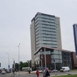 �����, �������, 37 ���