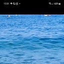 ���� ������, ������, 56 ��� - ��������� 4 ������� 2023 � ������ ���� ����������