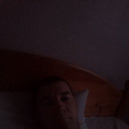 ������, �������, 42 ����