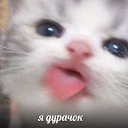 ���� �������, ������, 25 ��� - ��������� 9 ���� 2023 � ������ ���� ����������