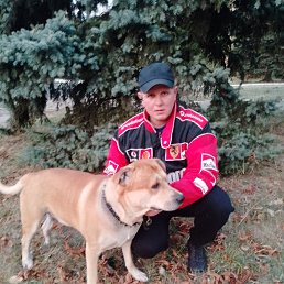 ���� �����, ���������, 39 ��� - ��������� 13 ������� 2023