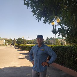 �����, ����������, 54 ����