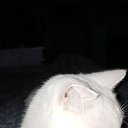 ���� �������, ������, 37 ��� - ��������� 23 �������� 2023 � ������ ���� ����������