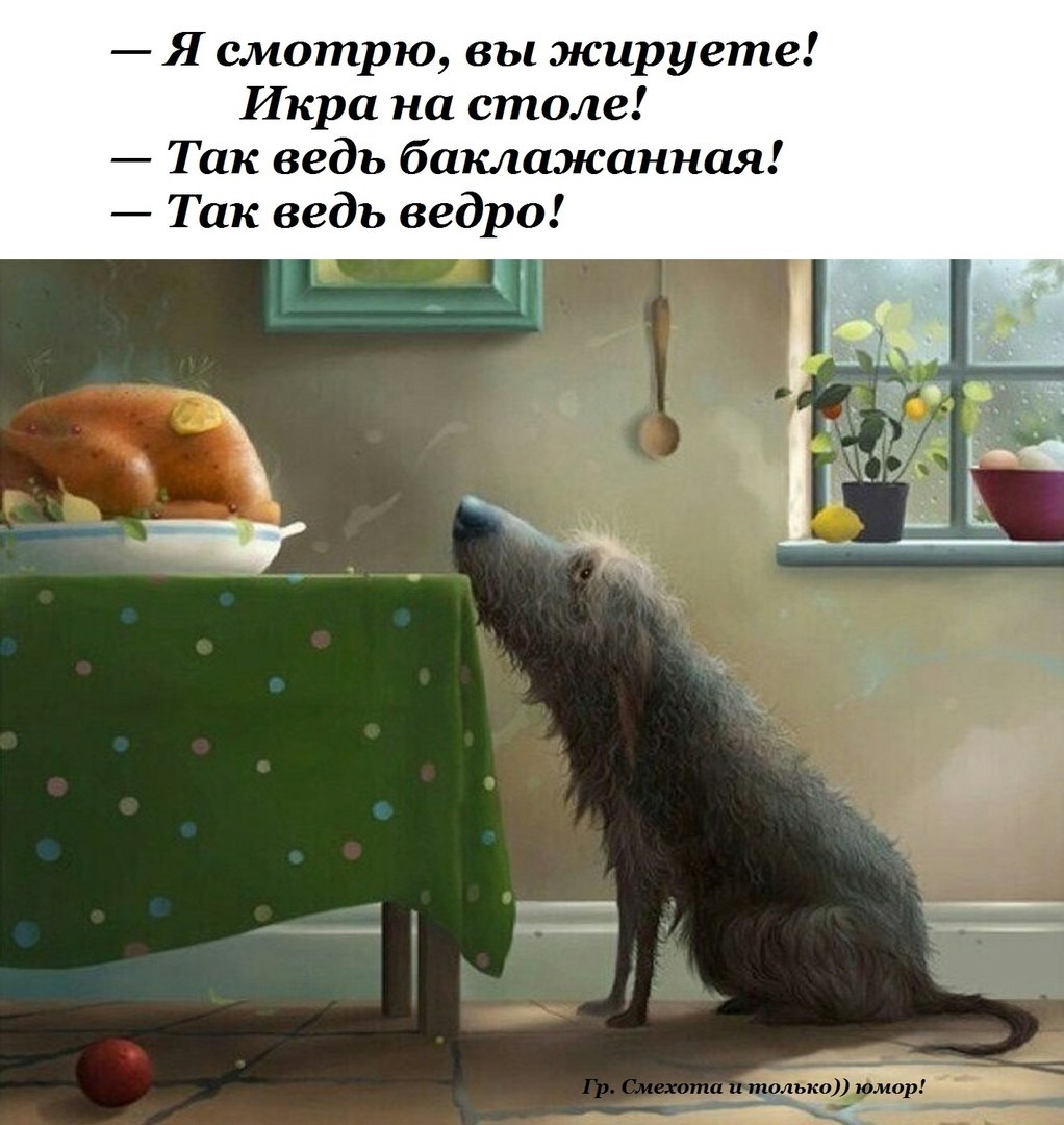  - 7  2023  05:38