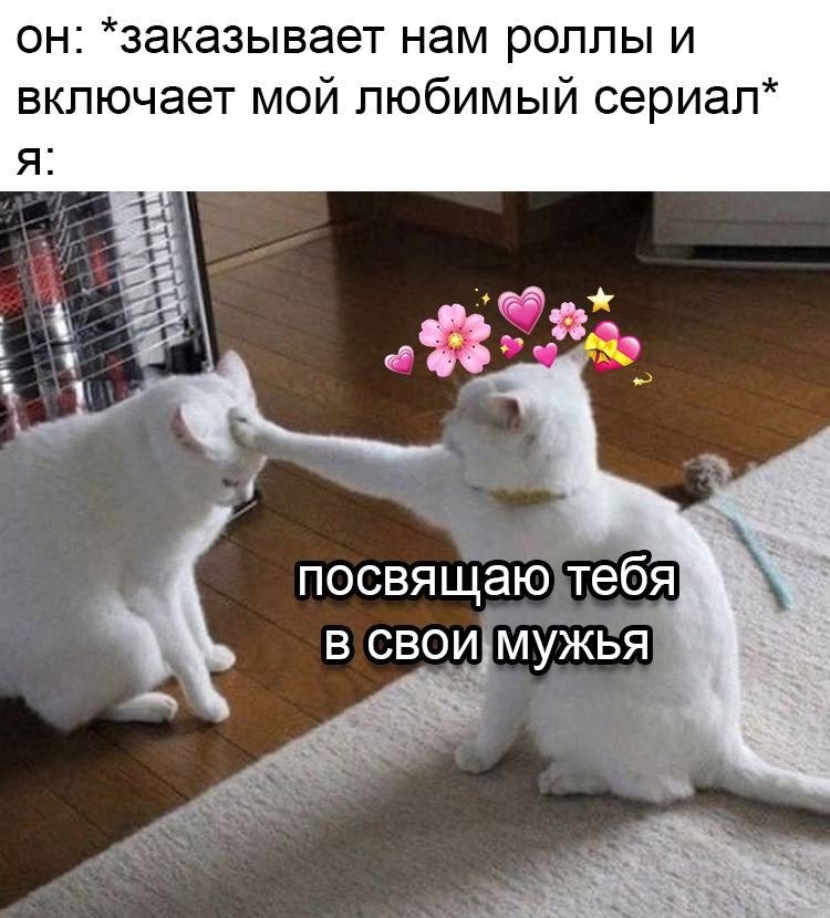    - 23  2023  07:32
