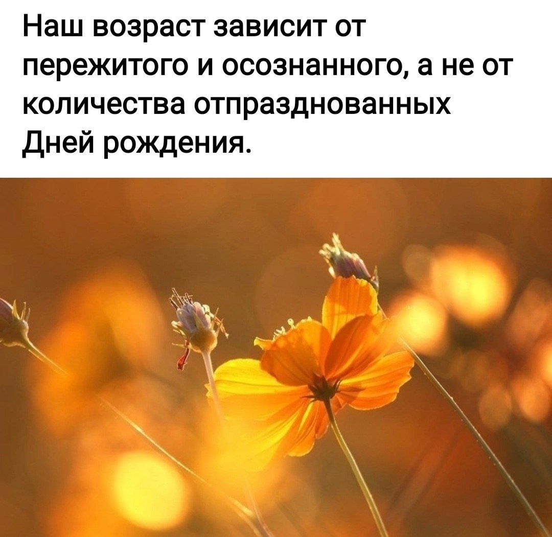 *T* - 1  2023  17:02