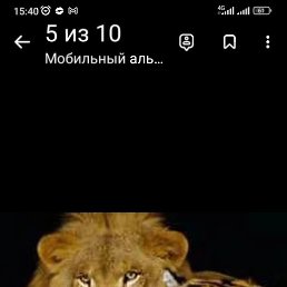 �����, ������, 63 ����