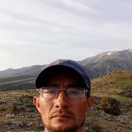 �����, �������, 36 ���