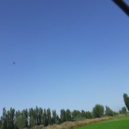 ������, �����, 27 ���