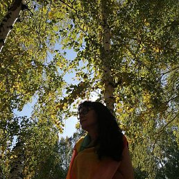 �������, ������, 67 ���