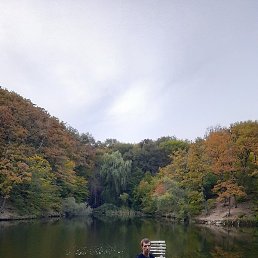 �������, ������, 40 ���