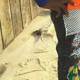 Daniel Fredson, �����������, 20 ���