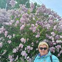 ���� Elen@, ������� - ��������� 8 ����� 2023 � ������ ���� ����������