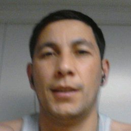 ����, �����, 46 ���