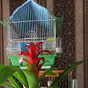 ���� ��������, ����, 51 ��� - ��������� 19 ������ 2023 � ������ ���� ����������