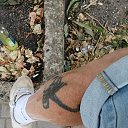 ���� ��������, �����, 52 ���� - ��������� 1 ������� 2023 � ������ ���� ����������