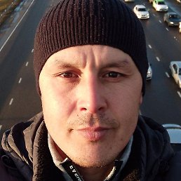 �����, ������, 37 ���