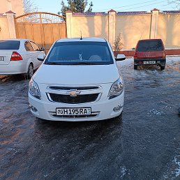 �����, �������, 40 ���