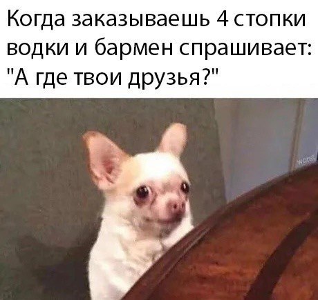    - 25  2023  21:19