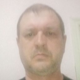 ������, ���������, 55 ���