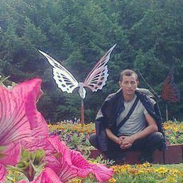 �����, ��������, 39 ���