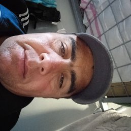 ������, ���������, 41 ���