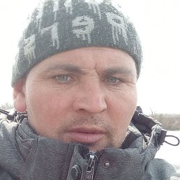 ����, ������, 43 ����