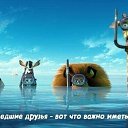 ���� ���, ������, 46 ��� - ��������� 11 �������� 2023 � ������ ���� ����������
