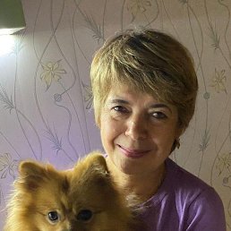 , 65, -