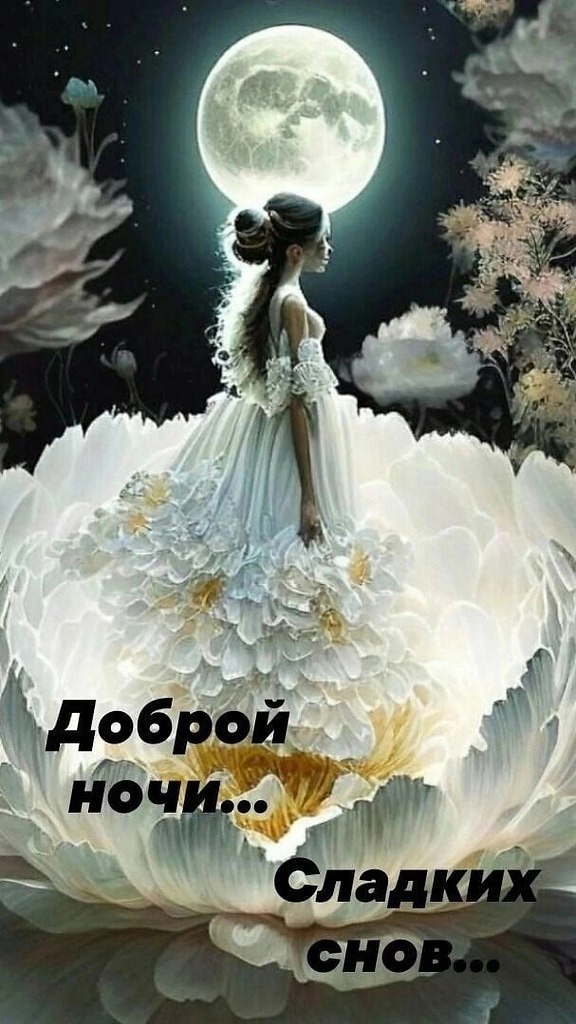   ,    . - 5  2023  21:20