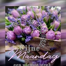 Jay, �����������, 42 ����