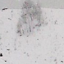 ������, �����, 72 ����