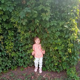 ����, ������, 21 ���