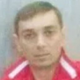 ����, ����, 44 ����