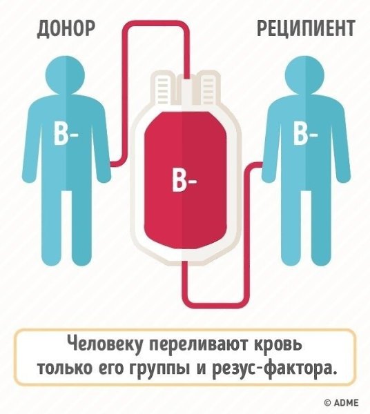 Вот зачем нужно знать группу крови.И тогда вы сможете вовремя спасти людей - 4