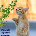 ���� ������, �������� - ��������� 5 ������� 2023 � ������ ���� ����������