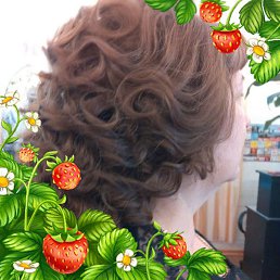 �������, ���������, 65 ���