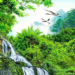 �����, �����, 32 ����